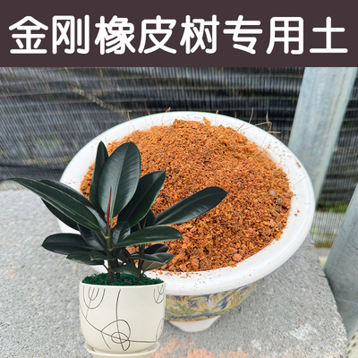 金刚橡皮树土配方营养土顺丰包邮