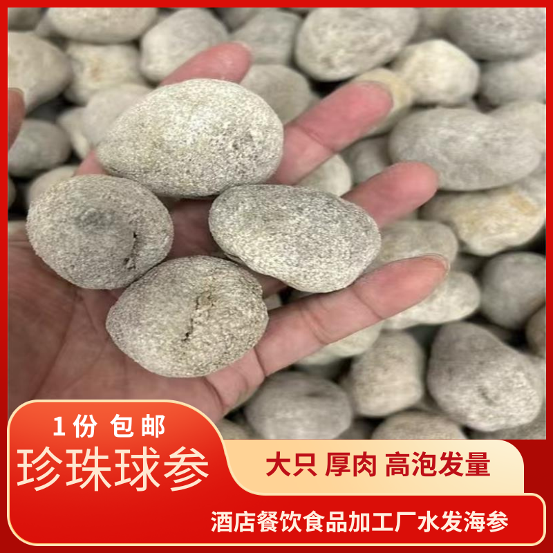 珍珠球参60头33头23头白球参水产干货淡干乌圆参酒店食材水发海参