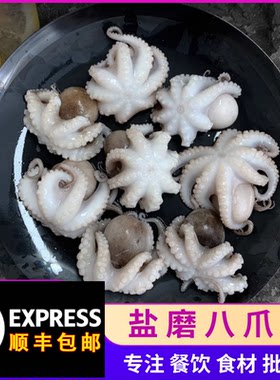 新鲜八爪鱼鲜活冷冻小章鱼小海鲜