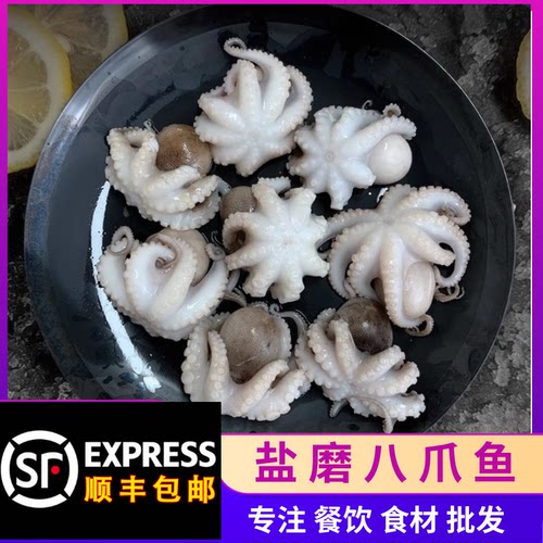 新鲜八爪鱼鲜活冷冻小章鱼小海鲜