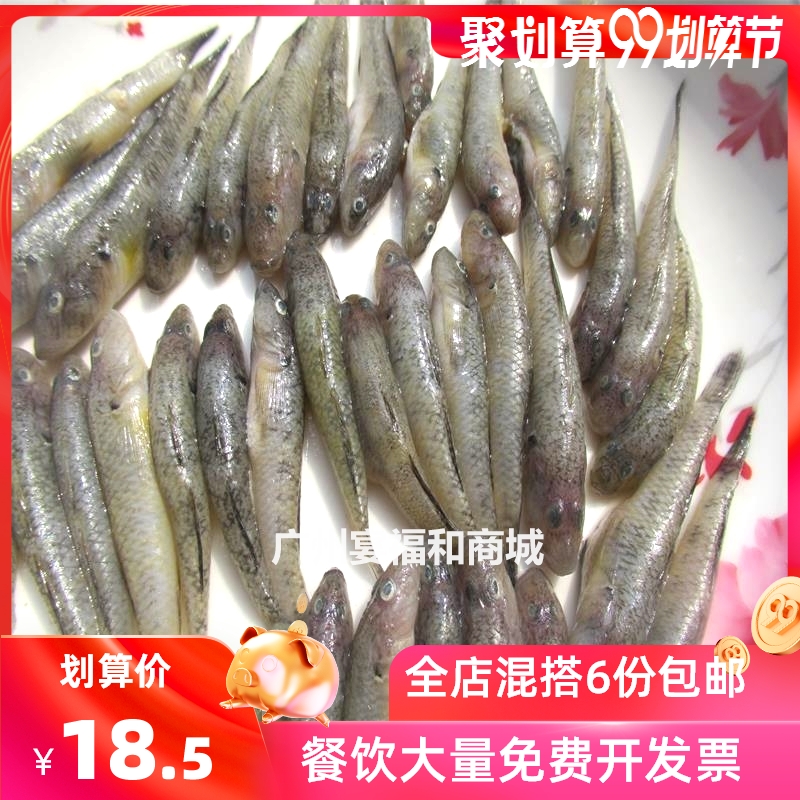中号山坑鱼新鲜冷冻淡水小河鱼小石鱼石头鱼餐厅特色