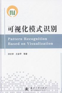 现货正版 社9787118090505 识别洪文学自然科学畅销书图书籍国防工业出版 可视化模式