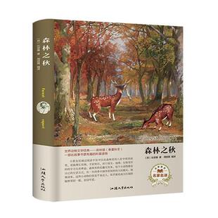 吹牛大王历险记比尔格 儿童读物书籍