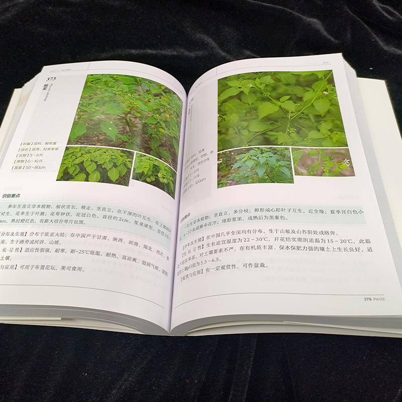 600种郊野植物图鉴胡琳 自然科学书籍