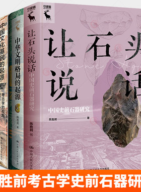 陈胜前考古学研究 中华文明格局中国文化基因的起源 考古学的视角 研究指要 让石头说话 中国史前石器研究欧洲旧石器时代社会玉器