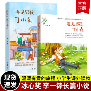正版包邮 男孩丁小点系列：遇见男孩丁小点+再见男孩丁小点 冰心奖得主李一锋儿童文学力作，鲁迅文学奖得主谭旭东作序