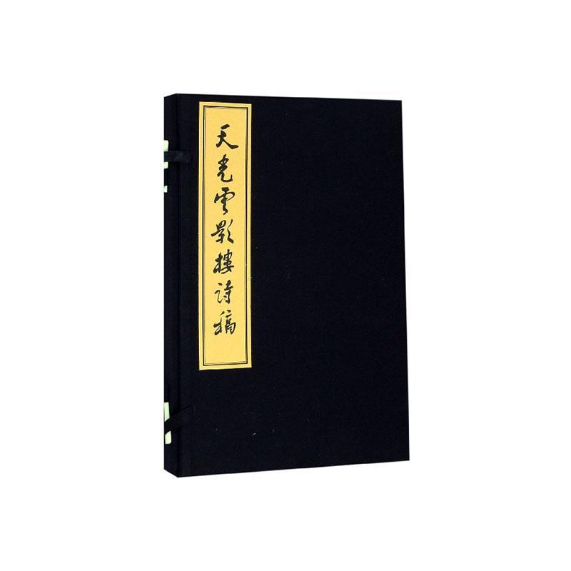 天光云影楼诗稿(全2册)孙文光 文学书籍