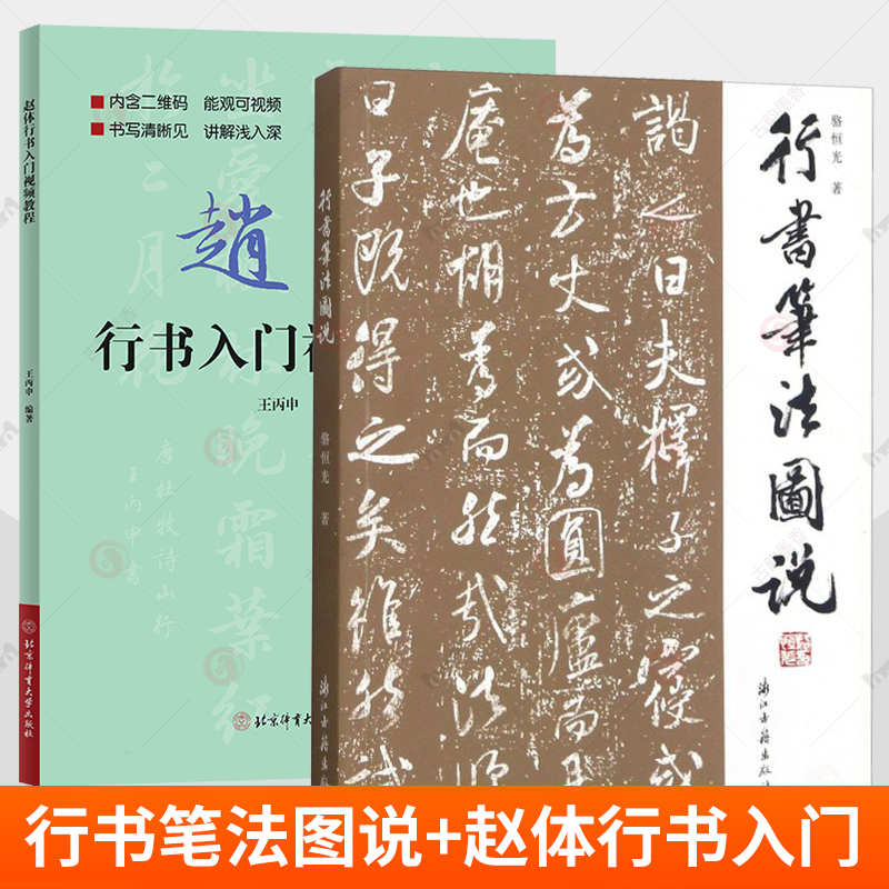 正版包邮 2册 行书笔法图说+赵体行书入门视频教程 骆恒光 赵孟俯行书字帖临摹行书规范教程 行书特点执笔笔画偏旁结体章法选帖