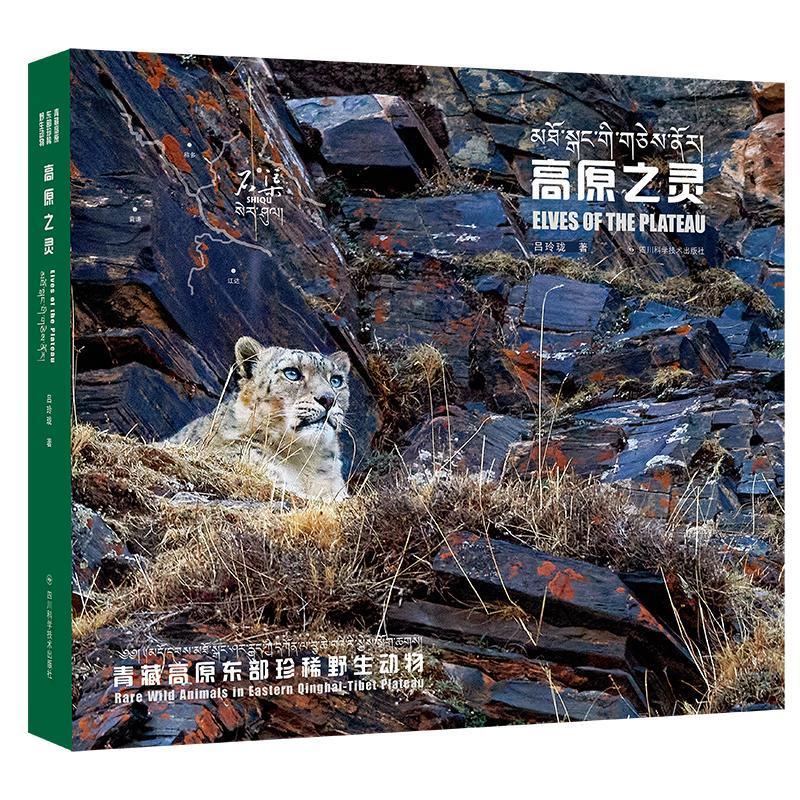 高原之灵:青藏高原东部野生动物:rare wild animals on the eastern Qinghai-Tibet plateau吕玲珑自然科学书籍-封面