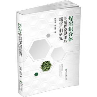 煤岩组合体能量积聚规律与缓控机制研究陈光波煤岩学自然科学书籍