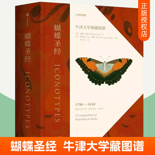 蝴蝶圣经 琼斯图谱中文版 蝴蝶手绘图谱 牛津大学自然史博物馆1600幅画作856个物种蝴蝶分类学蝴蝶标本图像科普昆虫 蝴蝶百科全书