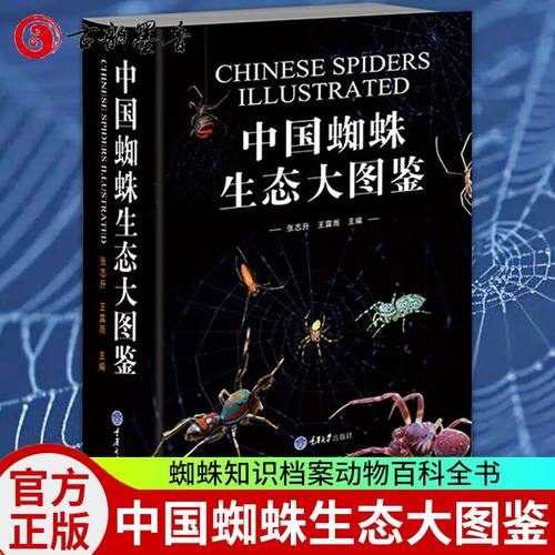 正版包邮 中国蜘蛛生态大图鉴 昆虫图鉴蜘蛛学蜘蛛生态识别 蜘蛛知识档案书动物百科 71科种类达1139种蜘蛛图片昆虫科普读物书籍