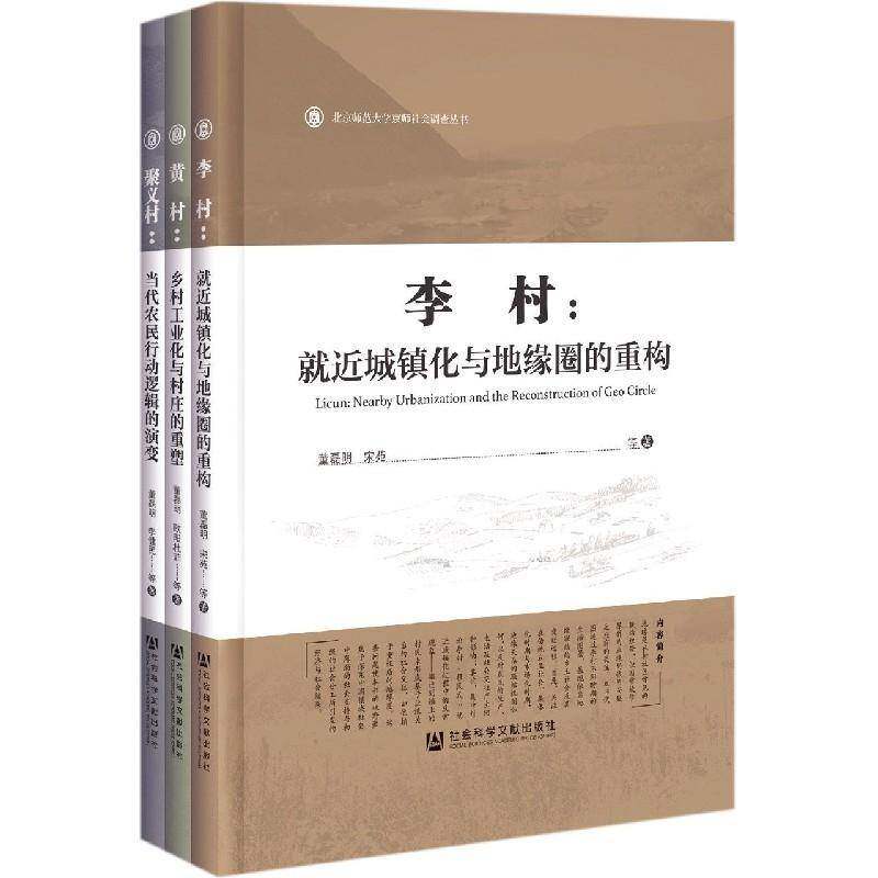 北京师范大学京师社会调查丛书(全3册)董磊明 政治书籍