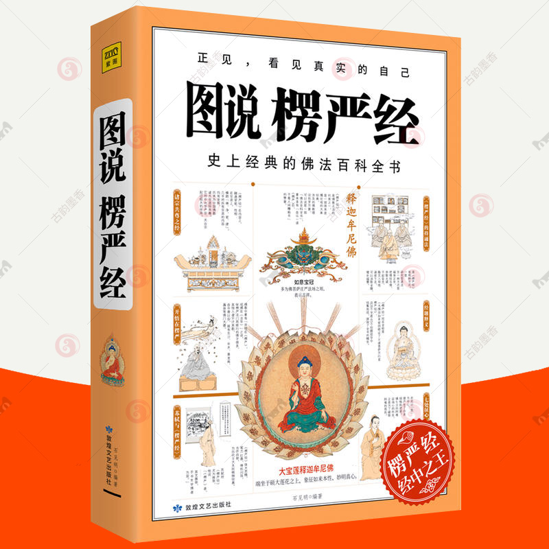 图说楞严经 经典佛法百科全书图解版 楞严经原文白话文讲义大佛顶首楞严经读记 图解楞严经 佛学入门基础知识 佛经 佛学经典书籍 书籍/杂志/报纸 佛教 原图主图