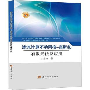 渗流计算不动网格-高斯点有限元法及应用汪自力 工业技术书籍