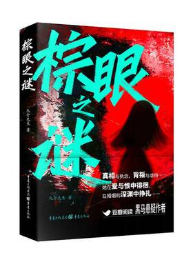 棕迷之眼九介先生 小说书籍