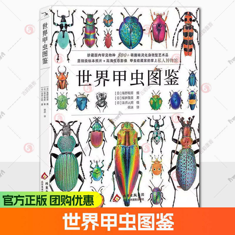 正版包邮 世界甲虫图鉴 昆虫家谱野外鉴别指南中国国家地理图书甲虫昆虫自然科普书籍 全新正版 图书书籍