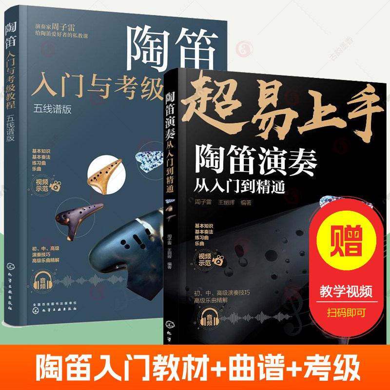 中老年人学陶笛视频教学陶笛曲谱大全陶笛基础教程陶笛演奏从入门到精通考级教程自学一月通课堂乐器基础教程十二孔陶笛六孔竖笛