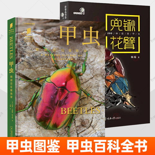 甲虫+兜锹花臂世界200种观赏甲虫 甲虫图鉴百科全书标本活体图纸上甲虫博物馆好奇心书系独角仙金龟甲虫宠物爱好者实用指南书籍