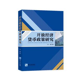 开放经济货币政策研究石峰 经济书籍