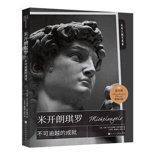 米开朗琪罗:不可逾越的成马塔·阿尔瓦雷斯·冈萨雷斯 艺术书籍