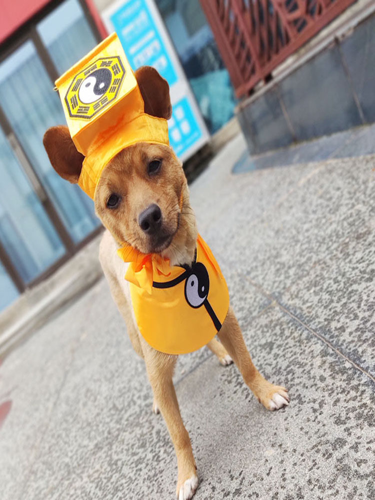 黄色道士领结通用基泰围脖口水巾猫狗通用柯基三角巾宠物大中小型