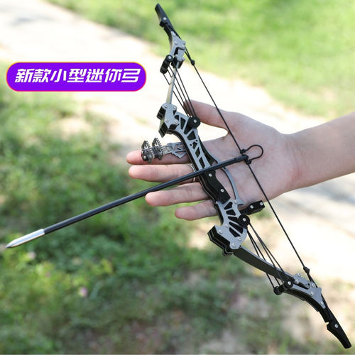 迷你复合弓套装大威力射箭猎鹰室内休闲解压打靶轮滑弓不锈钢射击