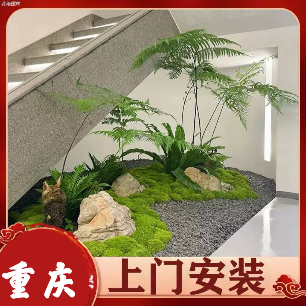 重庆室内造景【鲜活绿植】办公室植物景观装饰苔藓大厅转角场景