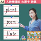 人教精通版 小学英语单词卡A4教具大卡老师教学A5卡三四五年级同步