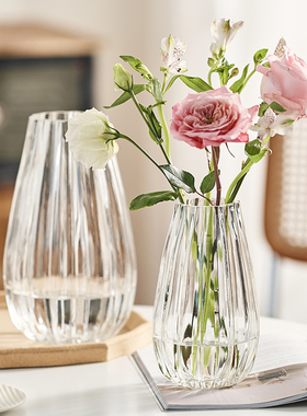 ins风简约高级感花瓶玻璃透明水养水培鲜花玫瑰客厅餐桌插花摆件