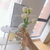 3个9.8元 饰品 透明玻璃花瓶小清新创意水培ins风摆件桌面插干花装