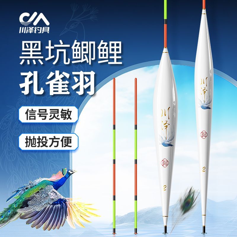 川泽去壳孔雀羽鱼漂高灵敏醒目