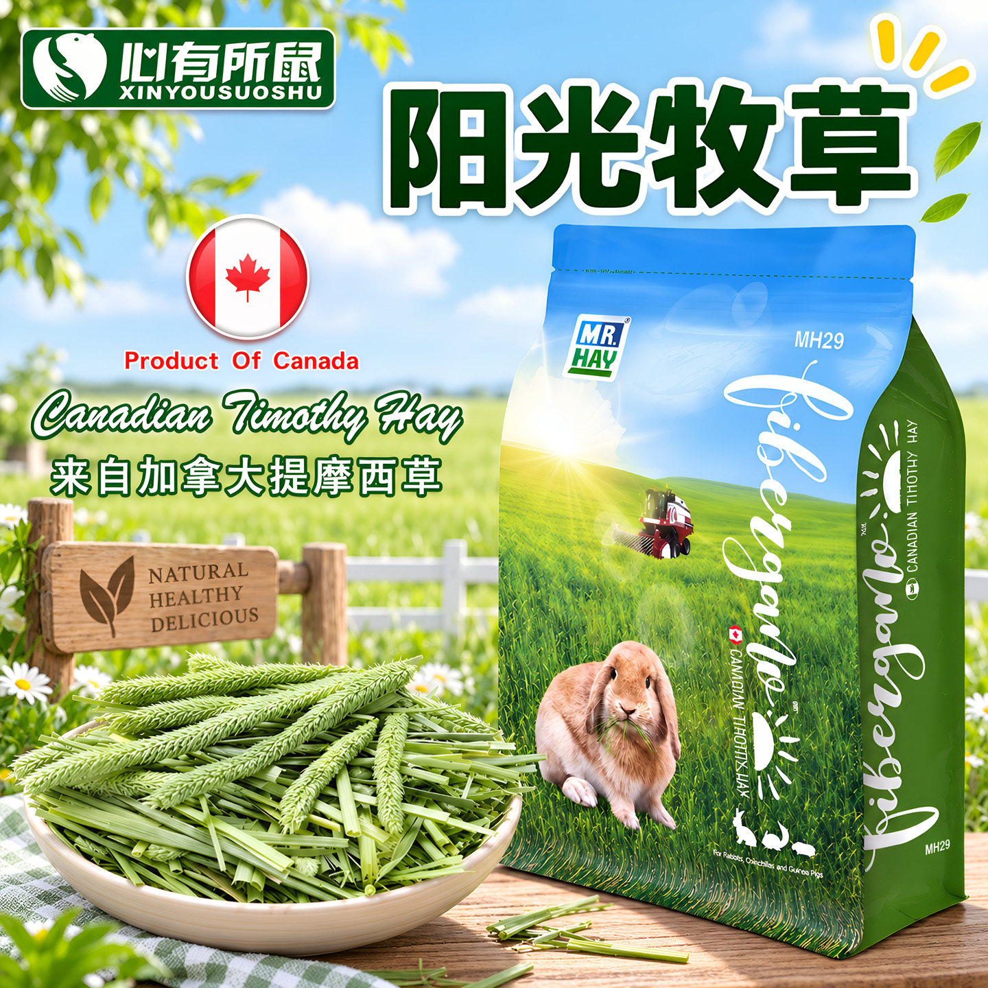 草先生进口提摩西草加拿大阳光牧草龙猫豚鼠兔子提草全国包邮多省