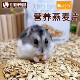 Jolly祖莉燕麦片仓鼠零食兔子龙猫豚鼠荷兰猪西施熊饲料200g