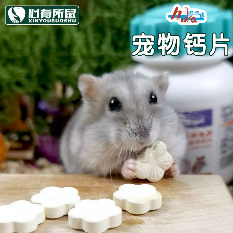 小宠物钙片兔子龙猫豚鼠仓鼠