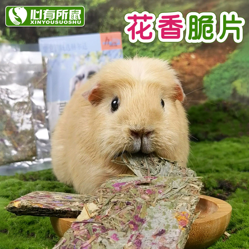 赫尔达草本花香脆片兔子天竺鼠豚鼠荷兰猪龙猫干草零食12片,宠物/宠物食品及用品,兔兔零食,淘宝优惠券,粉丝福利购,淘宝优惠卷