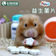 益生菌片100片仓鼠西施熊荷兰猪豚鼠兔子龙猫调理肠胃助消化