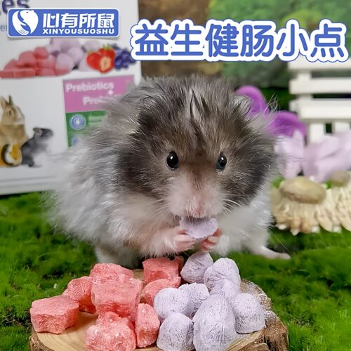 兔博士益生菌健肠小点仓鼠兔子