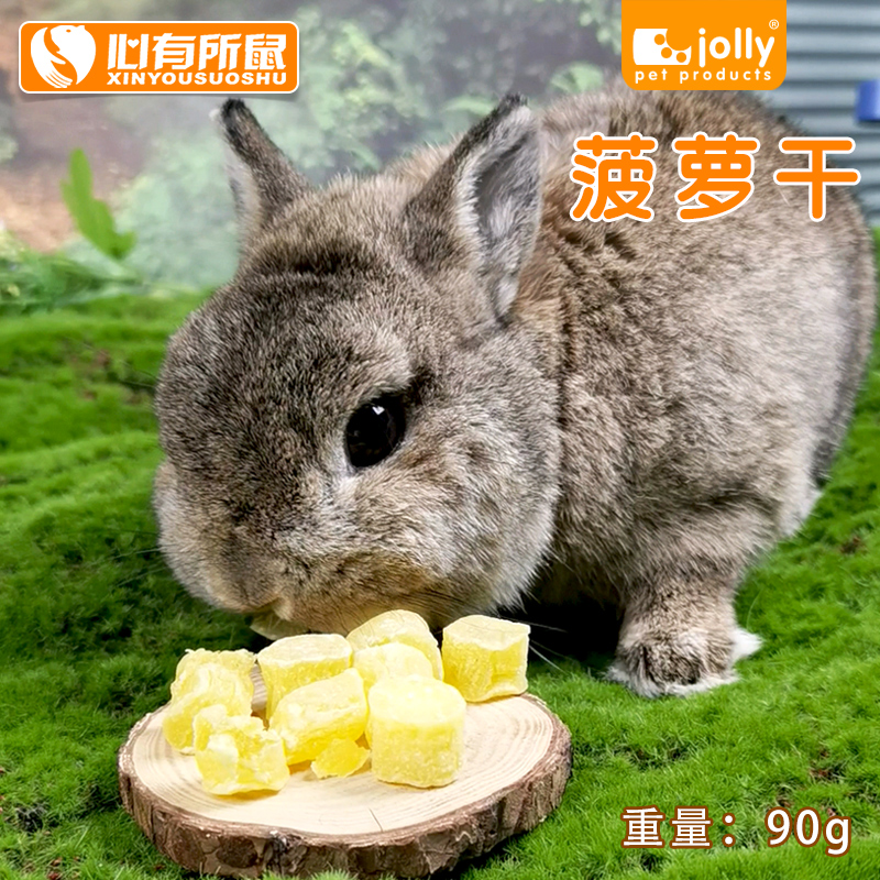 包邮Jolly菠萝干仓鼠零食兔粮龙猫豚鼠天竺鼠荷兰猪饲料小宠食物