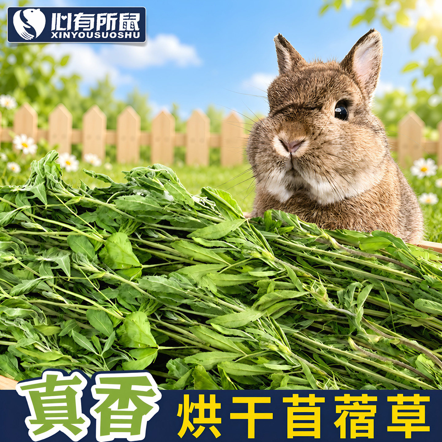 烘干苜蓿草兔粮饲料兔兔营养干草龙猫粮食荷兰猪饲草幼兔干草牧草