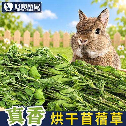烘干苜蓿草兔粮龙猫粮食荷兰猪