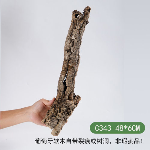 【青氧】天然葡萄牙软木雨林缸原生造景爬宠攀爬躲避屋孤品-C343