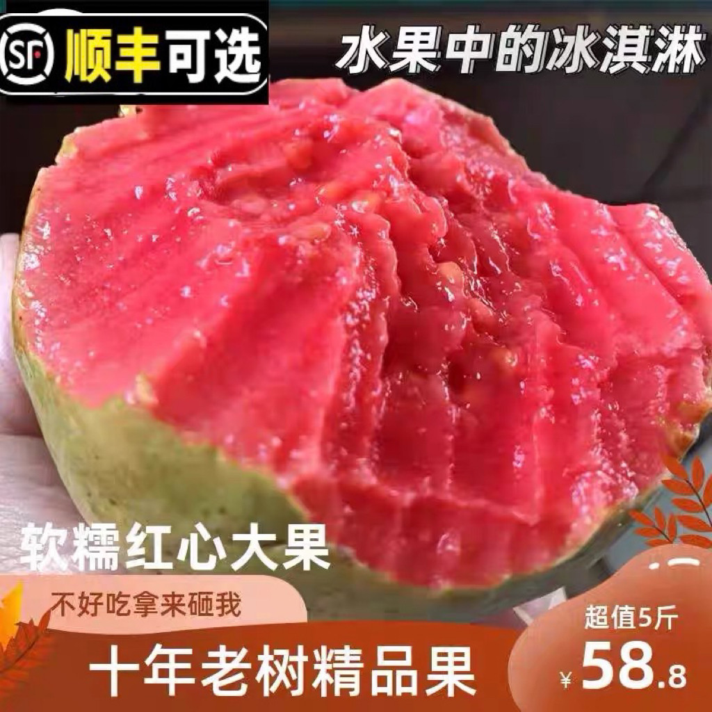 福建芭乐果红心软糯奶油芭乐时令番石榴/芭乐