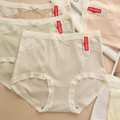 彩田莫代尔棉提花网孔透气亲肤舒适纯色蕾丝边大码 胖女生高腰内裤