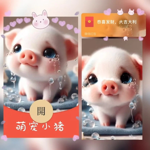 萌小猪红包封面微信序列号新款异形可爱小猪红包皮肤封面动态音乐