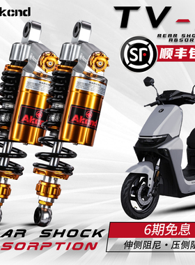 AK TV3改装后减震适用九号E80 MK2 F90m M395C max极核AE5i ae4i