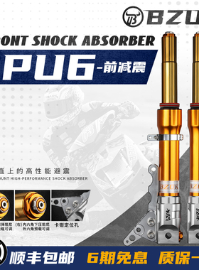 巴祖卡JPU6 适用本田ns125/150LA NS125RX(裂刃) 三调节前减震