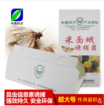 灭小飞蛾杀虫剂粘捕器除衣蛾粘杀蛾蚋蛾蠓贴米面蛾3包包邮6片