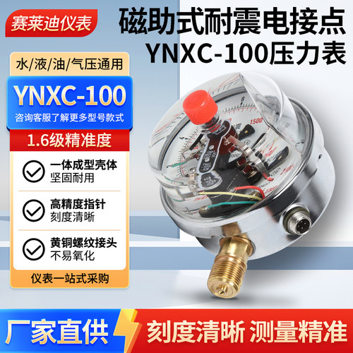 赛莱迪耐震电接点压力表真空包邮