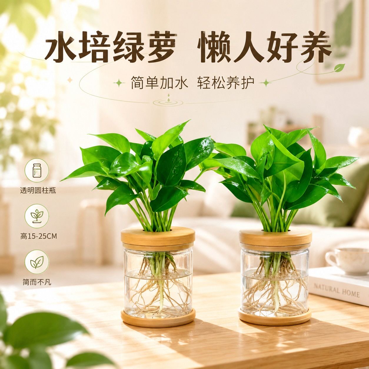 水培绿萝盆栽室内客厅办公室图片